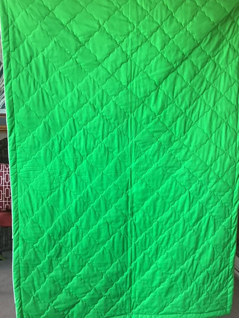 NWT Hand Crafted Green and White Bright Quilt